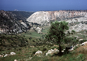 LEICA M3, SUMMICRON 2/50